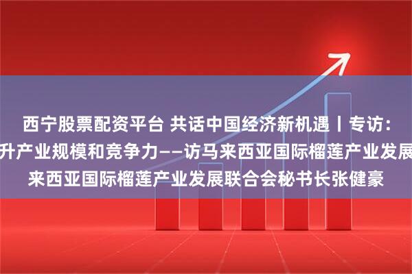 西宁股票配资平台 共话中国经济新机遇丨专访：期待依托中国市场提升产业规模和竞争力——访马来西亚国际榴莲产业发展联合会秘书长张健豪