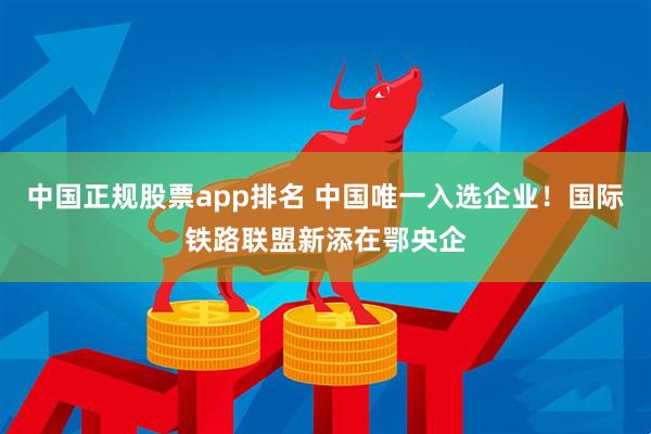 中国正规股票app排名 中国唯一入选企业！国际铁路联盟新添在鄂央企