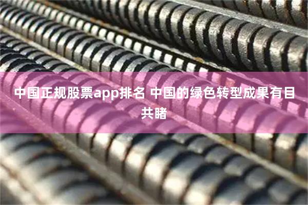 中国正规股票app排名 中国的绿色转型成果有目共睹